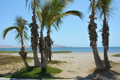 Casa Paracas by Wynwood House