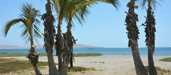 Casa Paracas by Wynwood House