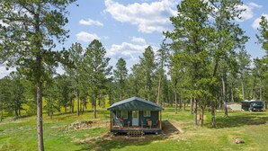 A small cabin with a porch, surrounded by tall trees in a grassy area. - Custer Love Shack Getaway (Custer)