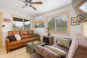 TV, fireplace, books, computer monitors