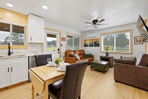TV, fireplace, books, computer monitors