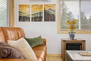 Fernseher, Kamin, Bücher, Computerbildschirme