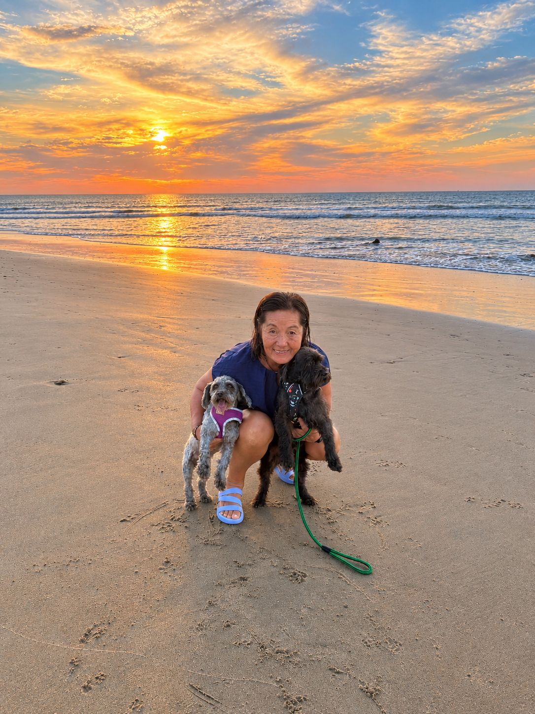 Escena de playa con un atardecer, una persona en posición de sentadilla y dos perros.