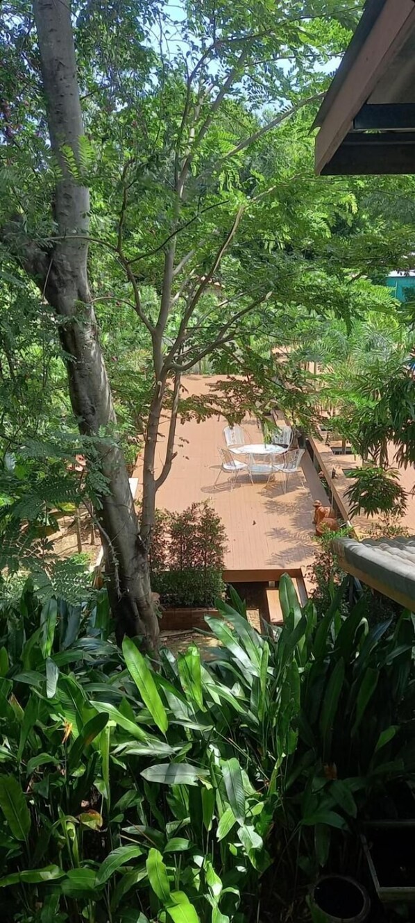 Kamar, 1 kamar tidur, akses difabel, Boleh Merokok | Taman