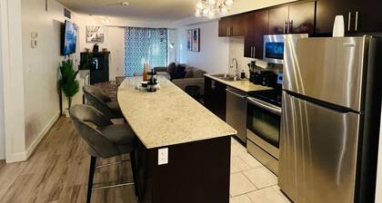 Mordern 2BedRoom Downtown Apt with Free Parking & Wifi