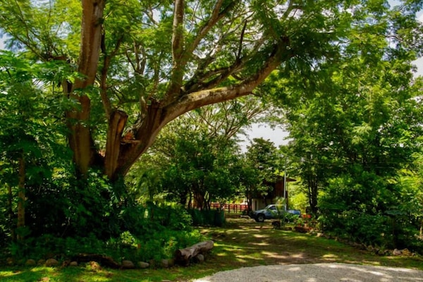 Family Double Room, Multiple Beds, Private Bathroom, Garden View | Living area