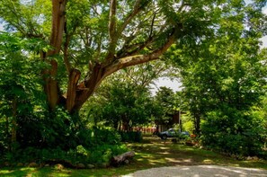 패밀리 더블룸, 침대(여러 개), 전용 욕실, 정원 전망 | 거실 공간