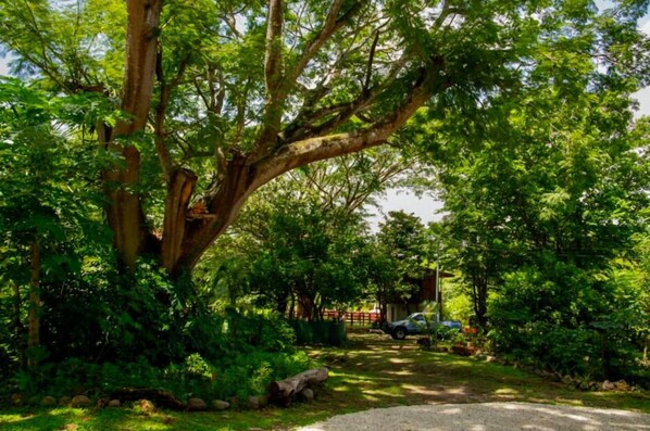 Phòng đôi dành cho gia đình, nhiều giường, phòng tắm riêng, quang cảnh vườn | Khu phòng khách