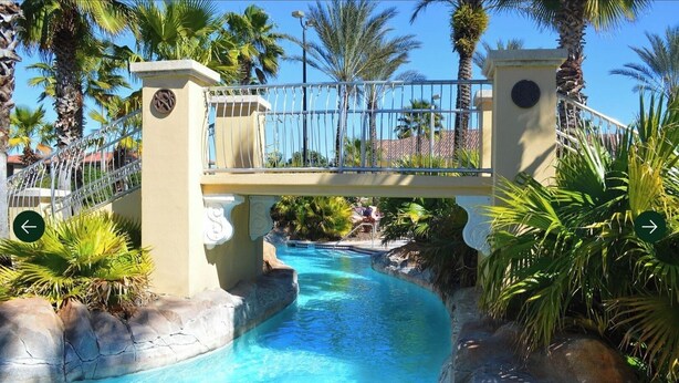 A pool area with a bridge, palm trees, and a clear blue pool.