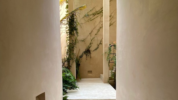A narrow, arched passageway with a concrete floor and walls, leading to a brighter area with plants and a small window. - Pent House Located in the heart of Punta Zicatela, comfort and tranquility. (Brisas de Zicatela)