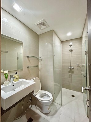 Shower, hair dryer, bidet, towels