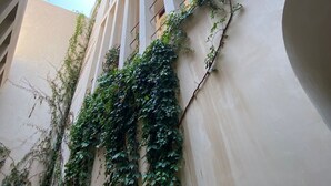 A building with vertical garden walls and a series of balconies. - Pent House Located in the heart of Punta Zicatela, comfort and tranquility. (Brisas de Zicatela)