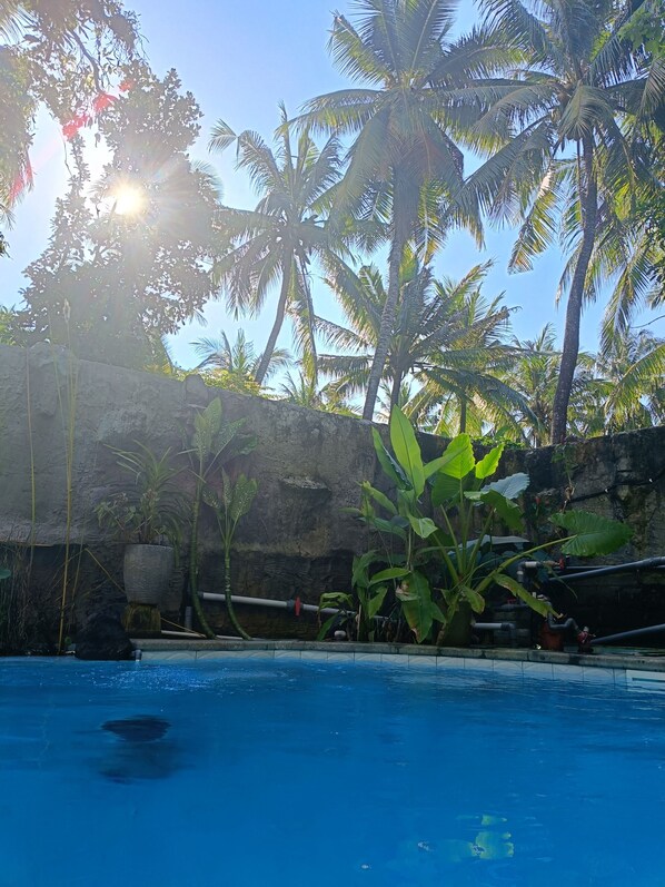 Pool - Mermaid Suite With AC 1 B&B - Bali Jungle Retreat with Fine Dining & Eco Pool (Buleleng)