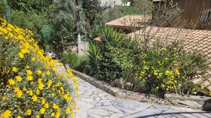 Um caminho de pedra serpenteia por um jardim com flores amarelas e diversas plantas verdes.