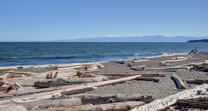 NEW 2BR Victoria Suite: Family, Pet, Work-Friendly