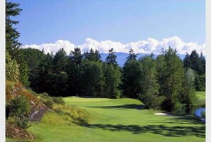 Golfe