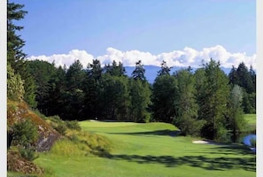 Golfe