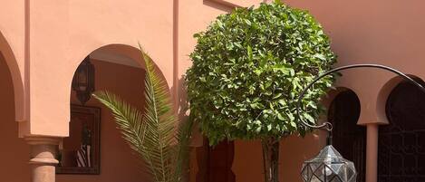 テラス / パティオ