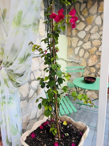 Guesthouse in the heart of Minturno.  Located in the historic center of the village.