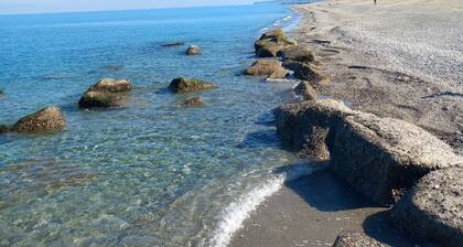 THE COTTAGE BY THE SEA