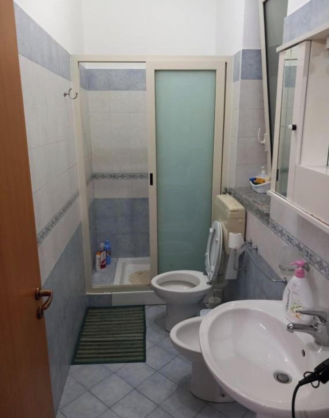 Dusche, Haartrockner, Bidet, Handtücher