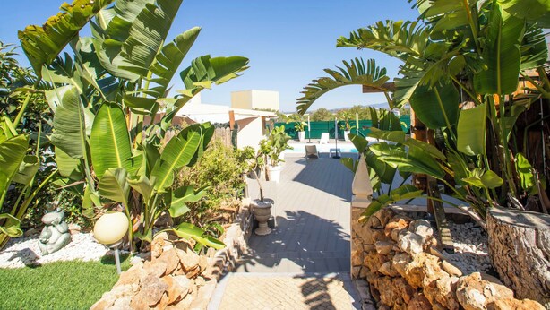 Un camino conduce a una zona de piscina rodeada de plantas tropicales y un muro de piedra.