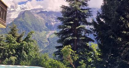 Stunning mountain-side chalet, 7-bedrooms, Pool & Spa