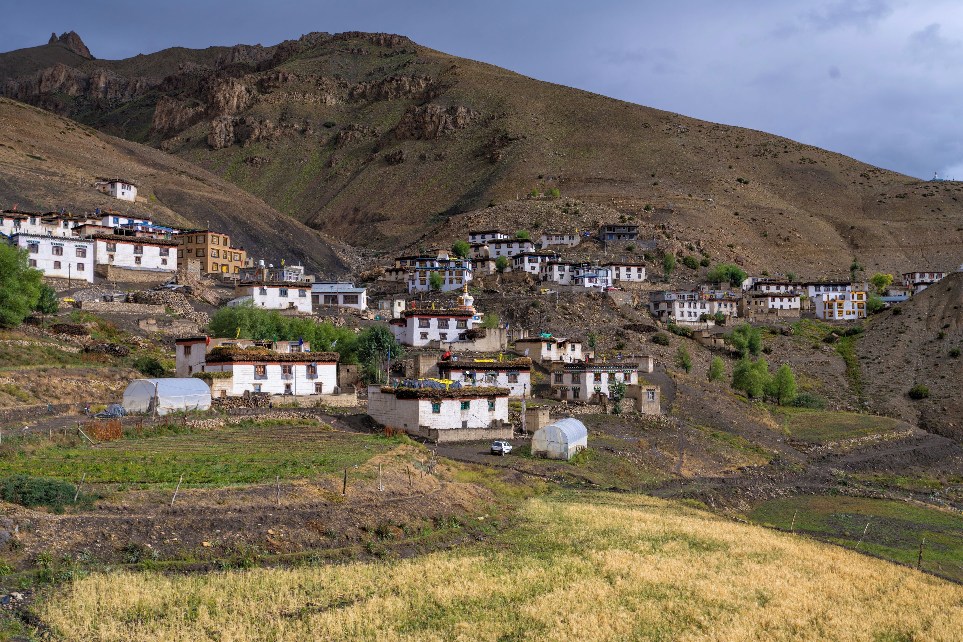 A village with traditional houses built on a hillside, surrounded by fields and mountains.