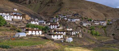A village with traditional houses built on a hillside, surrounded by fields and mountains.
