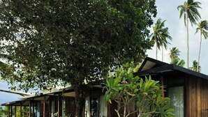 A modern resort with a wooden exterior, a covered outdoor seating area, and a well-maintained garden with palm trees and a concrete pathway. - BAIBAI (San Vicente)