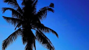 A palm tree silhouette against a sunset sky, a beach, and a mountain in the distance. - BAIBAI (San Vicente)