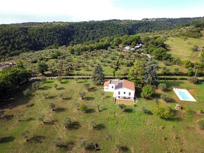 Exterior - Stunning Villa with private pool, within an olive grove. (San Michele In Teverina)