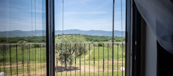 Stunning Villa with private pool, within an olive grove.