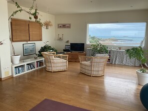 TV, DVD player, books, video library