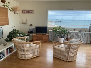 TV, DVD player, books, video library