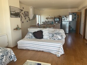 TV, DVD player, books, video library