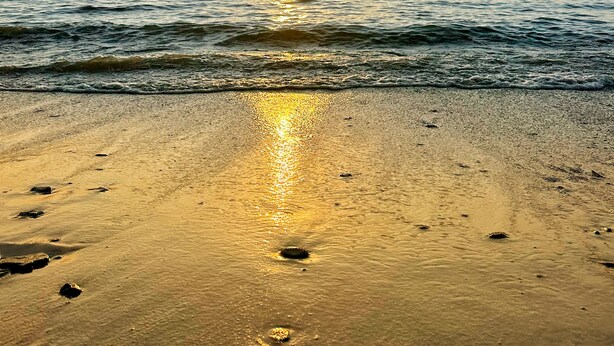 A beach with footprints leading to the water, waves gently lapping at the shore, and a clear sky.