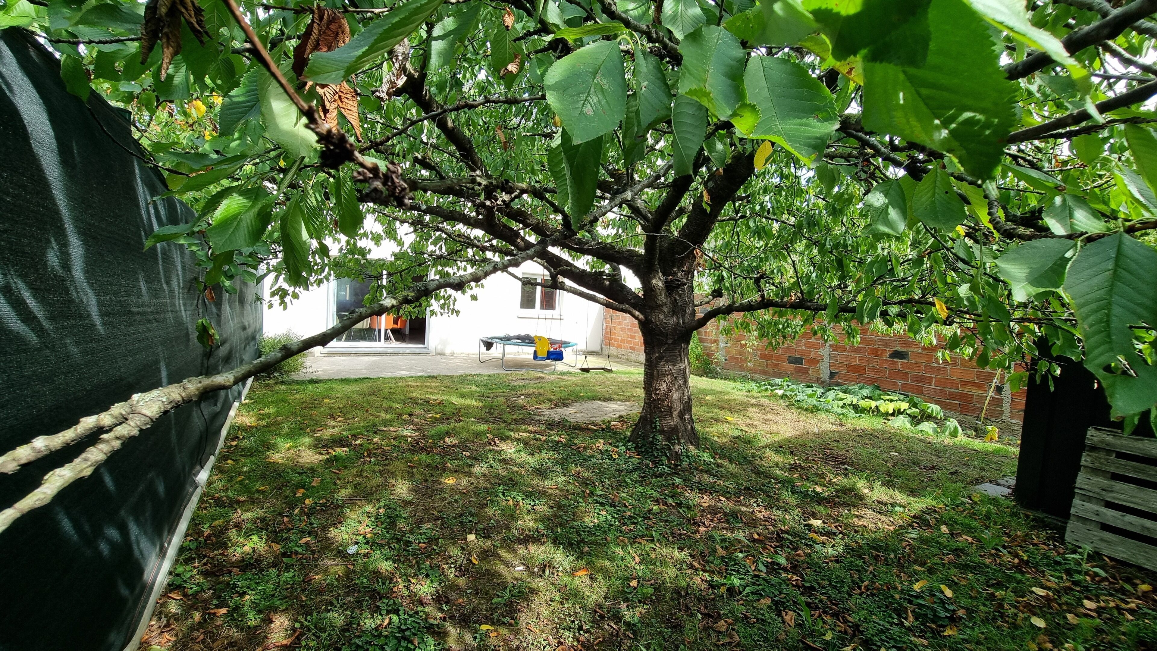 A tree-lined yard with a swing set and a brick wall in the background.