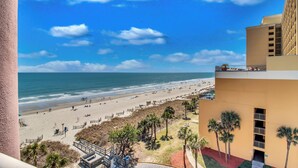 A beach view from a hotel balcony with a clear sky, palm trees, and a sandy beach.