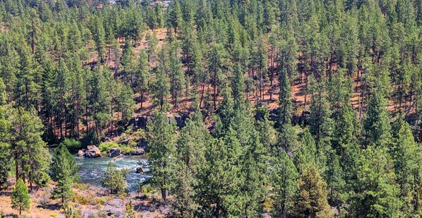 A dense forest with a river flowing through it. - River Ridge 423AB - Views, Fireplace, Trail Access, Fireplace & River Views (Bend)