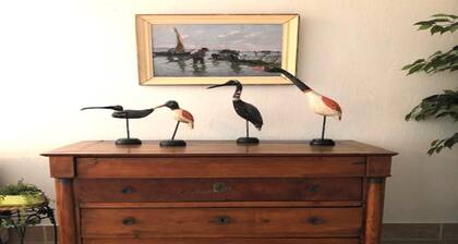 1-bedroom Apartment With View of Private Beach