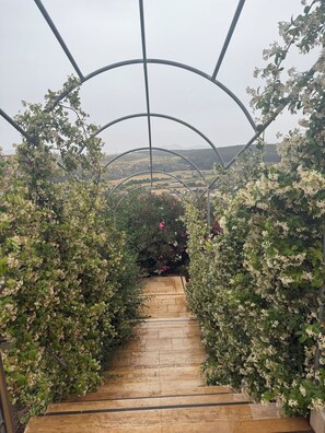 Terrein van de accommodatie