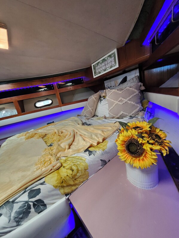 2 多间卧室、上网接入、床单