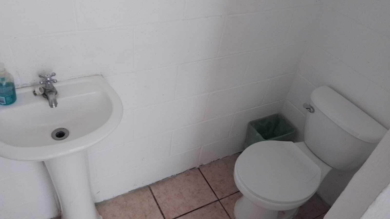 A small bathroom with a white sink, a toilet, and a trash bin.
