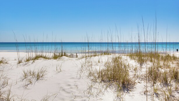 A beach with sand and sparse grass, a clear sky, and a calm sea. - Little Canal, Pool, Hot Tub, Cold Plunge, Sauna (Santa Rosa Beach)