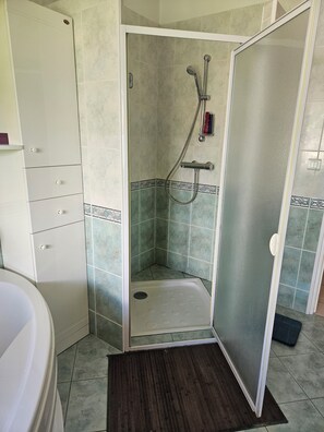 Shower, hair dryer, towels