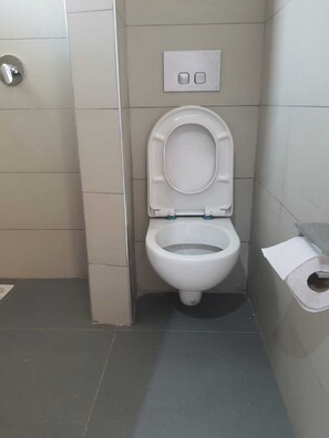 Shower, towels, soap, toilet paper