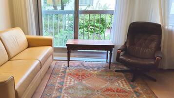 Televisie, een dvd-speler, boeken en een stereo