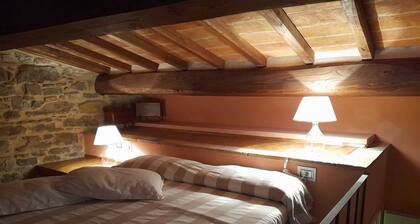 GUELFI 6, apartment in the heart of the historic center of POPPI casentino