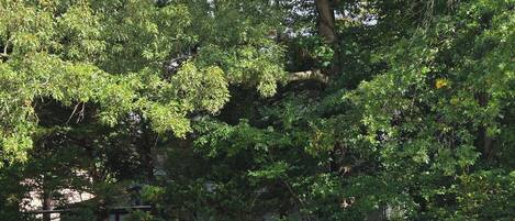 Terrain de lâhĂ©bergement